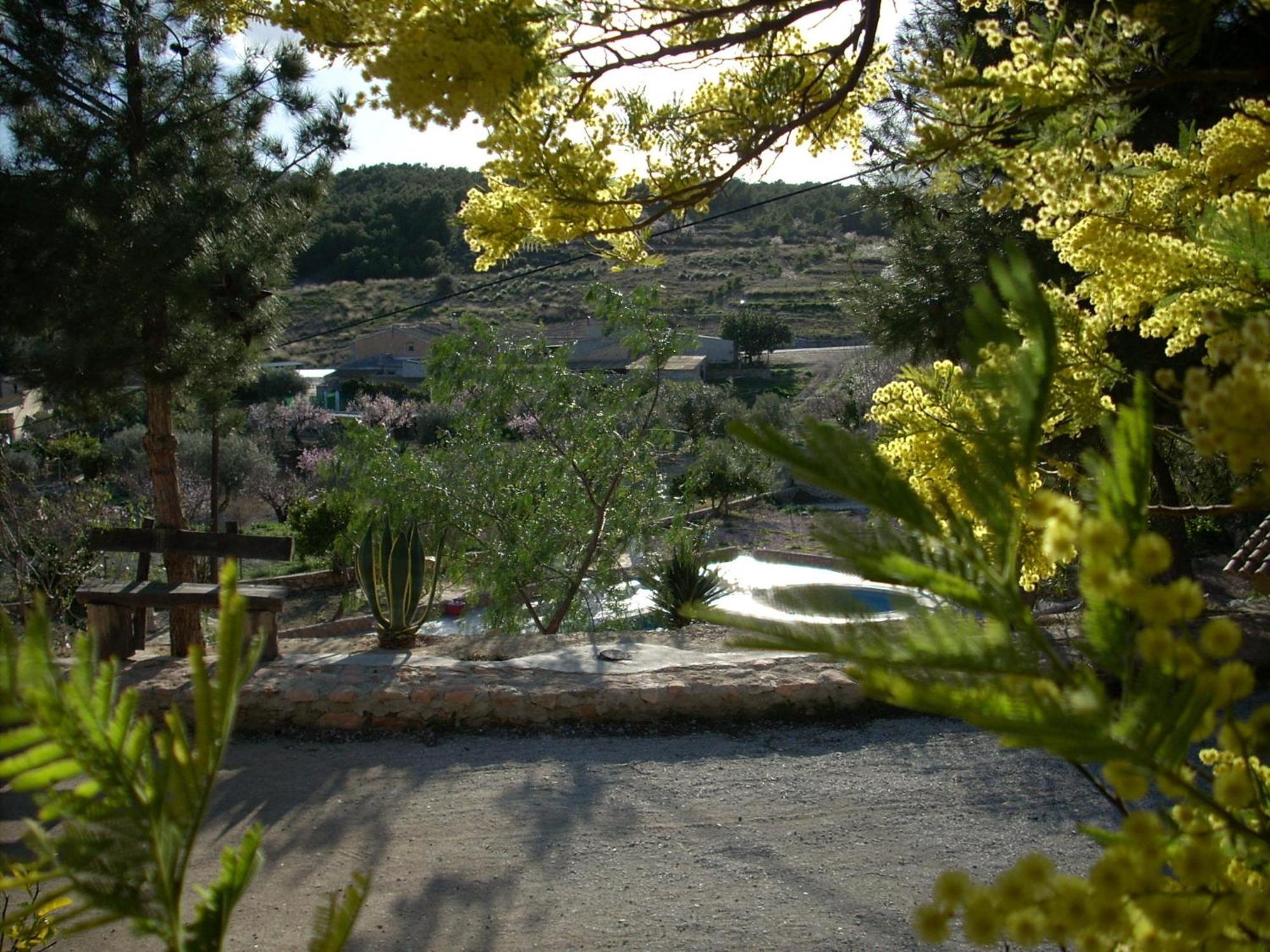 El Mirador De Gebas Guest House อาลามา เด มูร์เซีย ภายนอก รูปภาพ